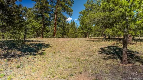 120 Chubb Court Buena Vista CO 81211