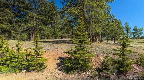120 Chubb Court Buena Vista CO 81211