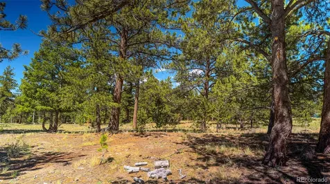 120 Chubb Court Buena Vista CO 81211