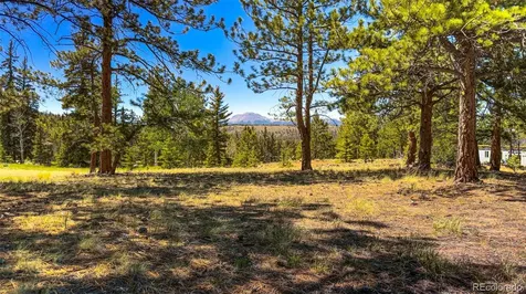 120 Chubb Court Buena Vista CO 81211