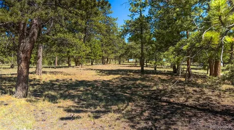 120 Chubb Court Buena Vista CO 81211