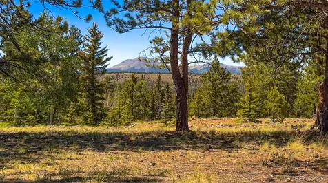 120 Chubb Court Buena Vista CO 81211
