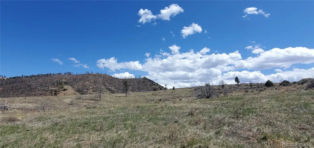 Lot 7698 Marie Road Fort Garland CO 81133