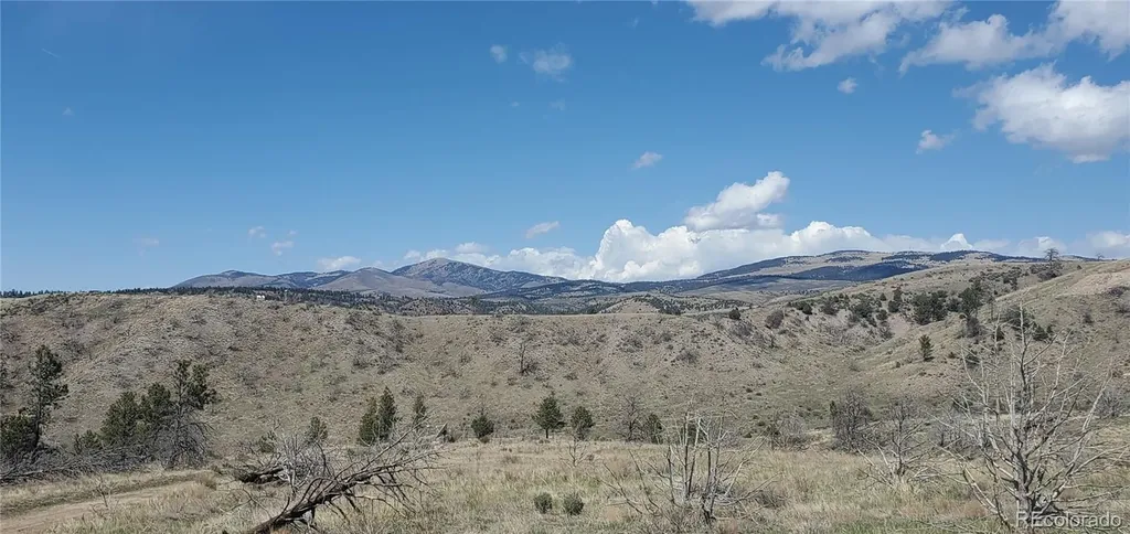 Lot 7698 Marie Road Fort Garland CO 81133