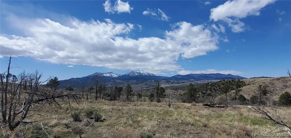 Lot 7698 Marie Road Fort Garland CO 81133