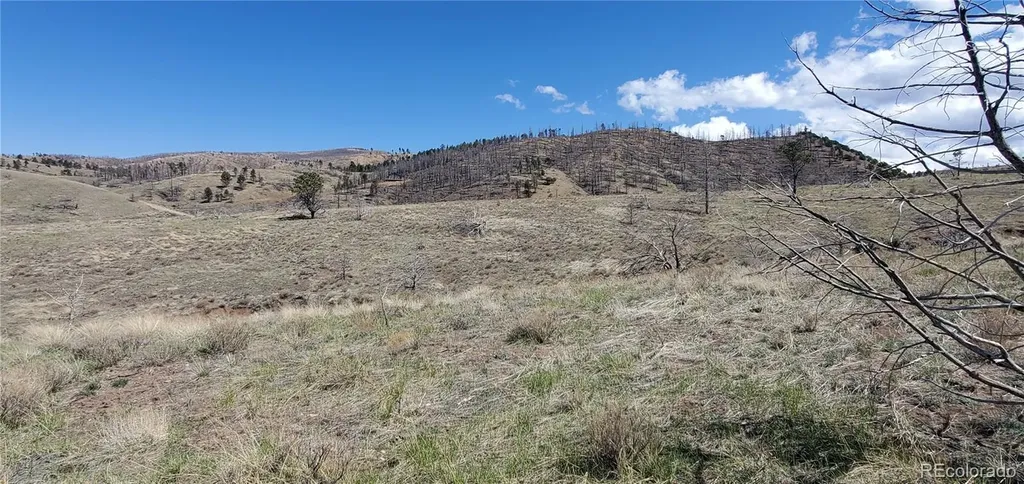Lot 7698 Marie Road Fort Garland CO 81133