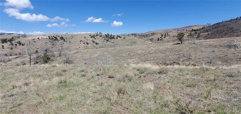 Lot 7698 Marie Road Fort Garland CO 81133