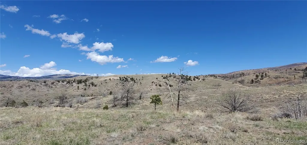 Lot 7698 Marie Road Fort Garland CO 81133