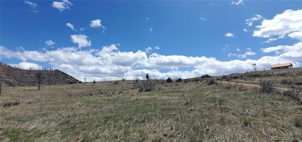 Lot 7698 Marie Road Fort Garland CO 81133