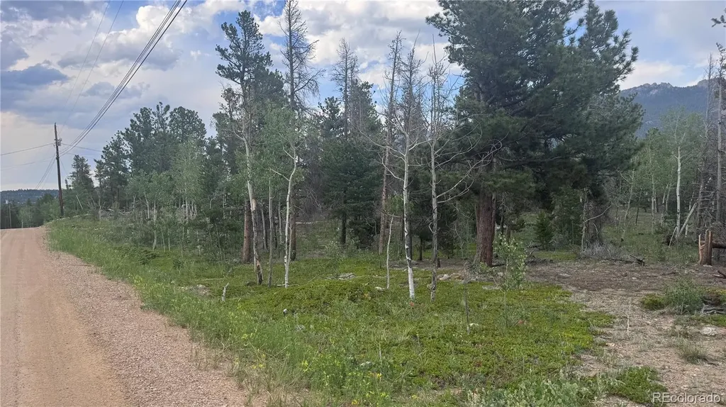 Lot 29 Lodge Pole Drive Black Hawk CO 80422