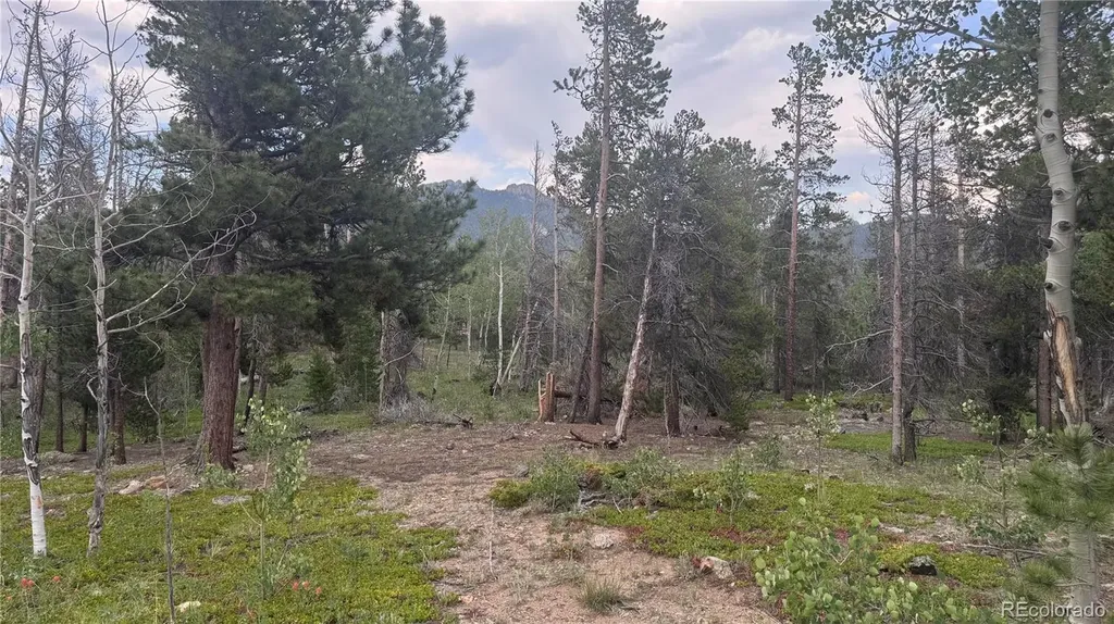 Lot 29 Lodge Pole Drive Black Hawk CO 80422