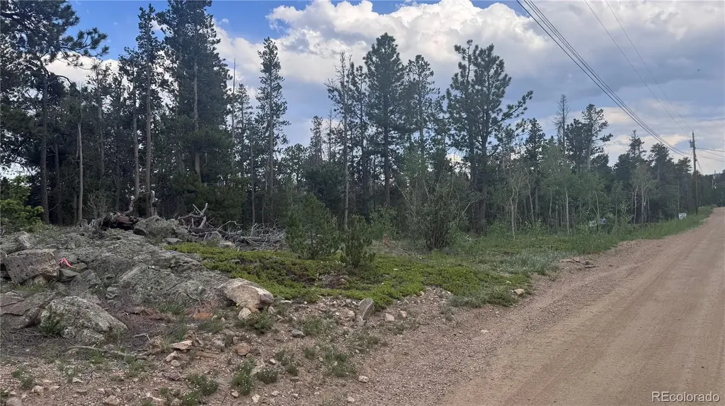 Lot 29 Lodge Pole Drive Black Hawk CO 80422