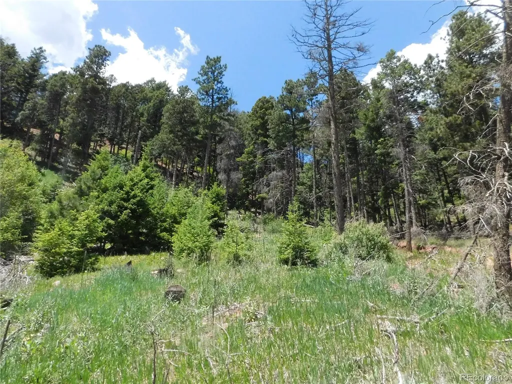 13524 Woodmoor West Drive Larkspur CO 80118