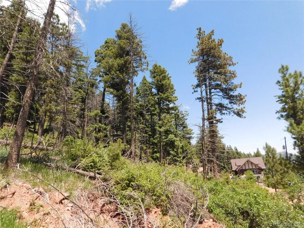 13524 Woodmoor West Drive Larkspur CO 80118
