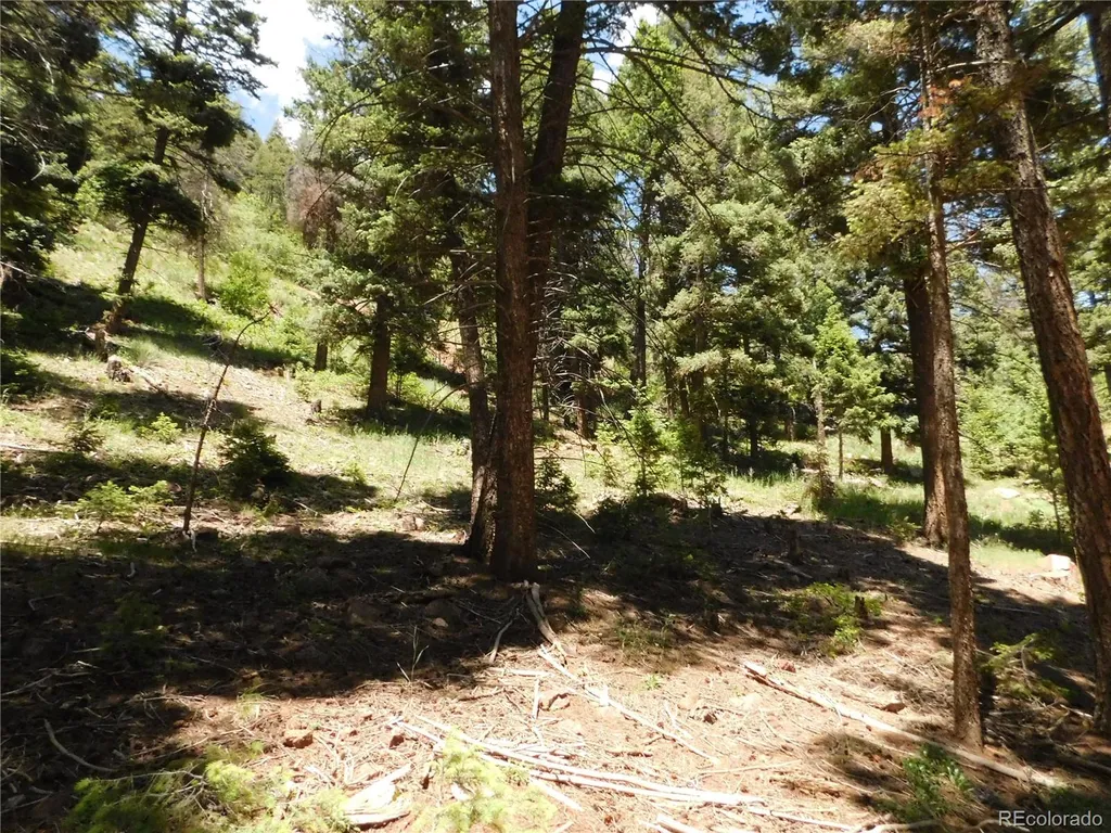 13524 Woodmoor West Drive Larkspur CO 80118