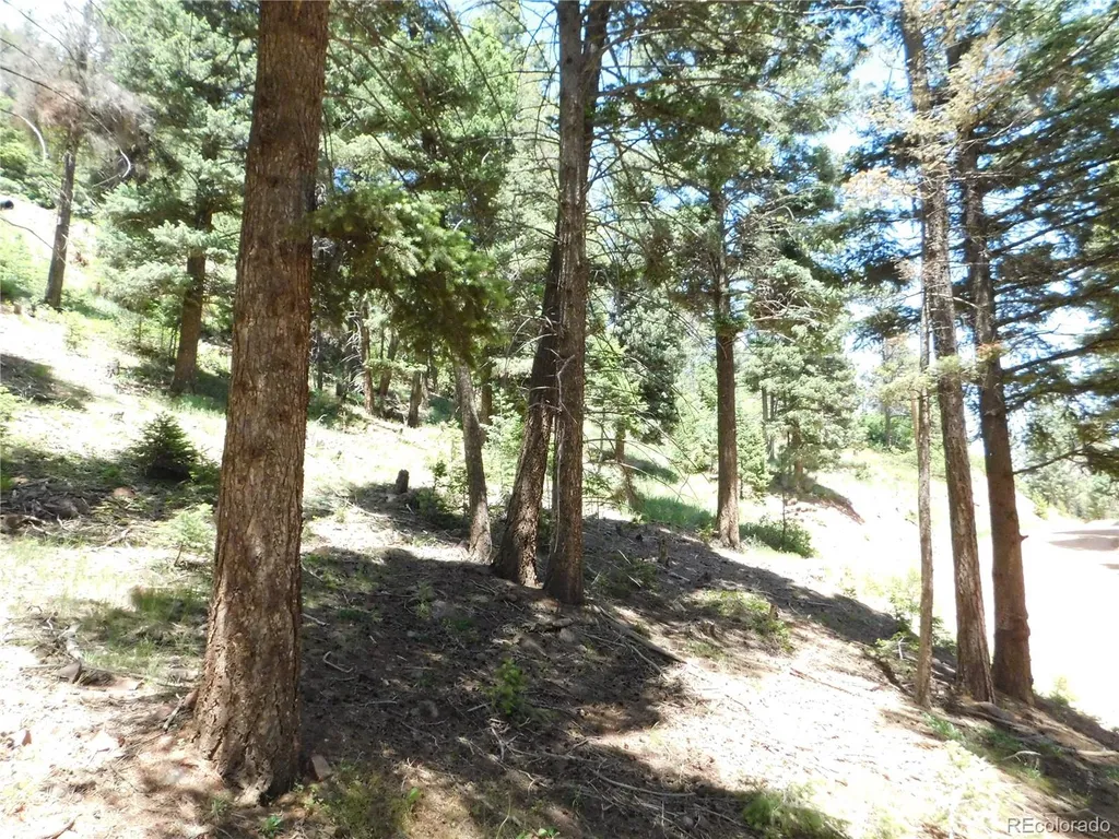 13524 Woodmoor West Drive Larkspur CO 80118