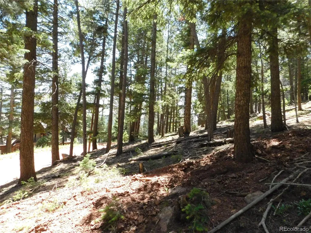 13524 Woodmoor West Drive Larkspur CO 80118
