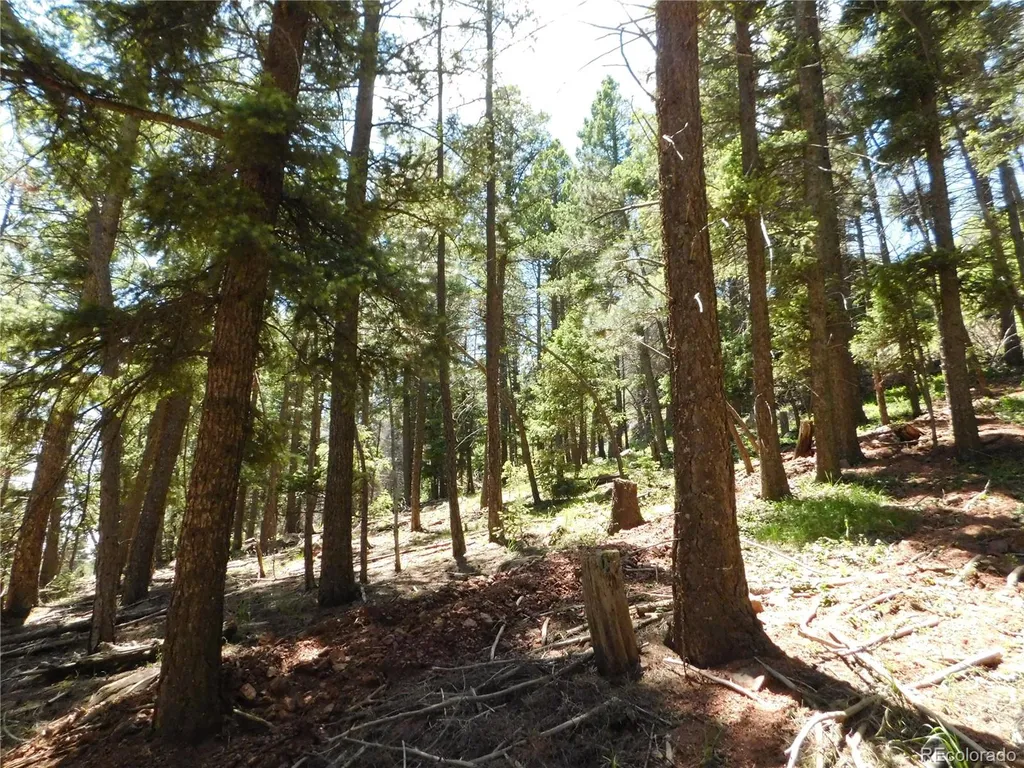 13524 Woodmoor West Drive Larkspur CO 80118