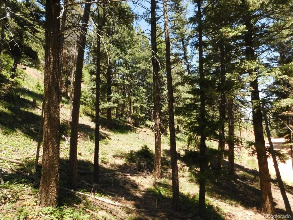 13524 Woodmoor West Drive Larkspur CO 80118
