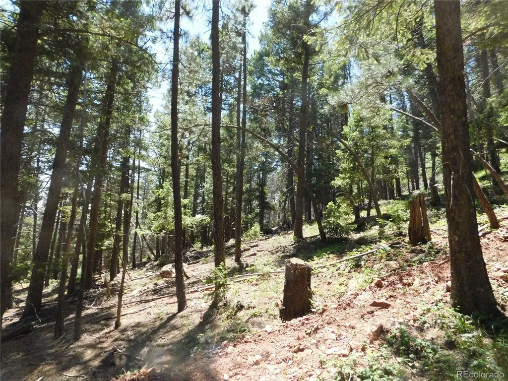 13524 Woodmoor West Drive Larkspur CO 80118