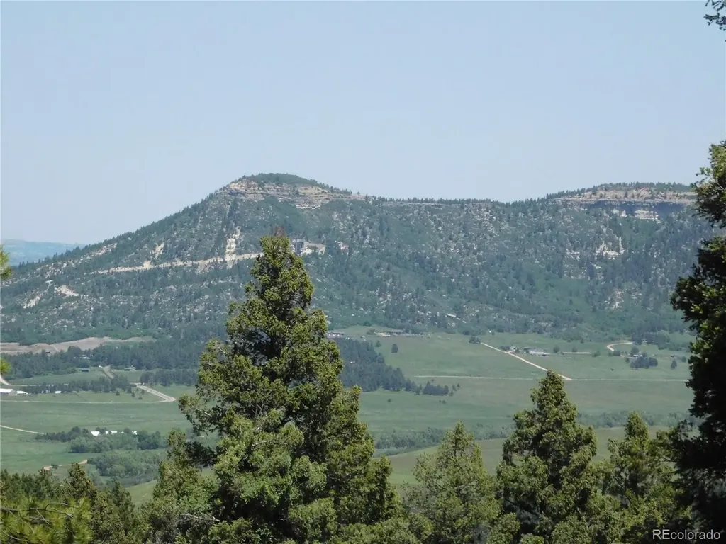 13524 Woodmoor West Drive Larkspur CO 80118