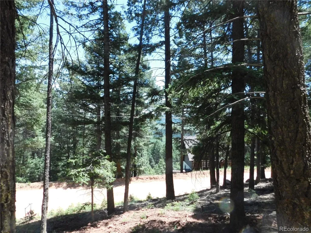 13524 Woodmoor West Drive Larkspur CO 80118