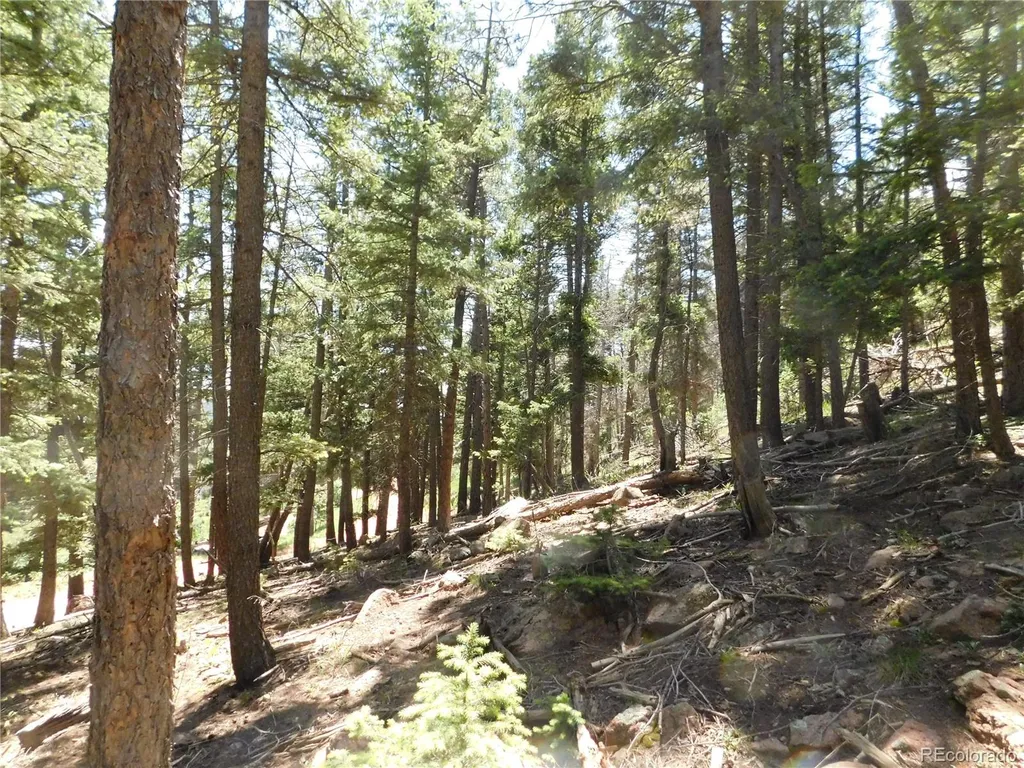 13524 Woodmoor West Drive Larkspur CO 80118