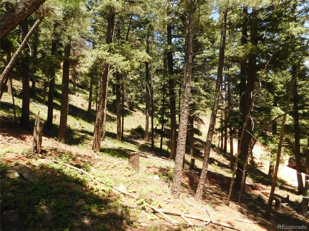 13524 Woodmoor West Drive Larkspur CO 80118