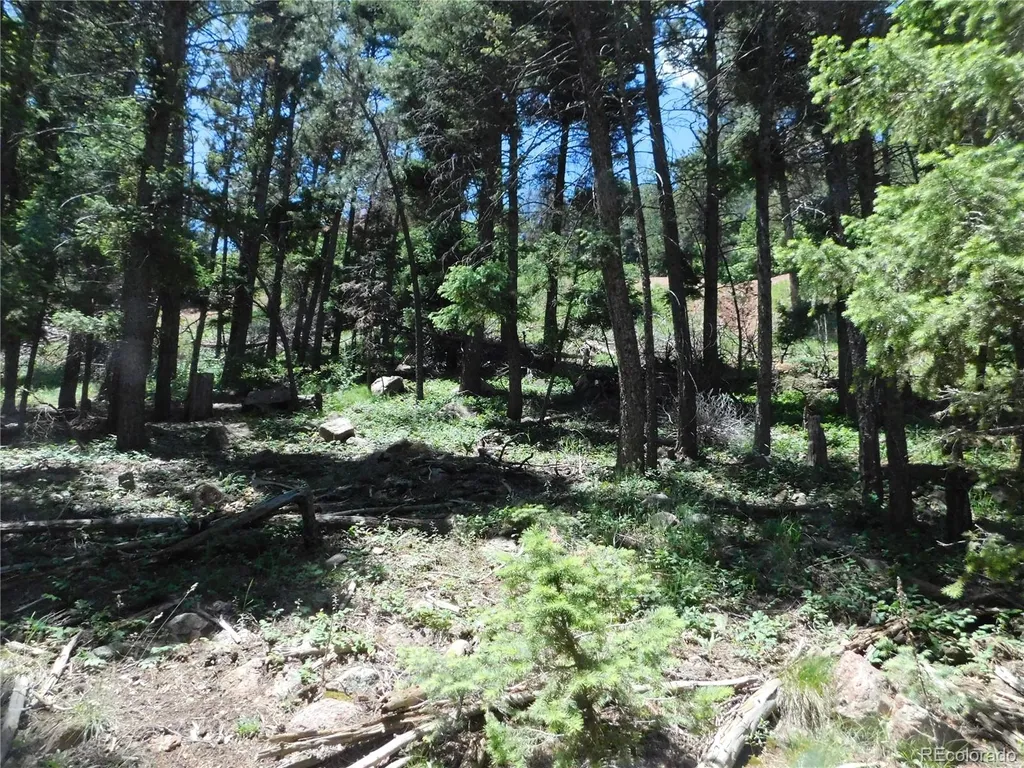 13524 Woodmoor West Drive Larkspur CO 80118