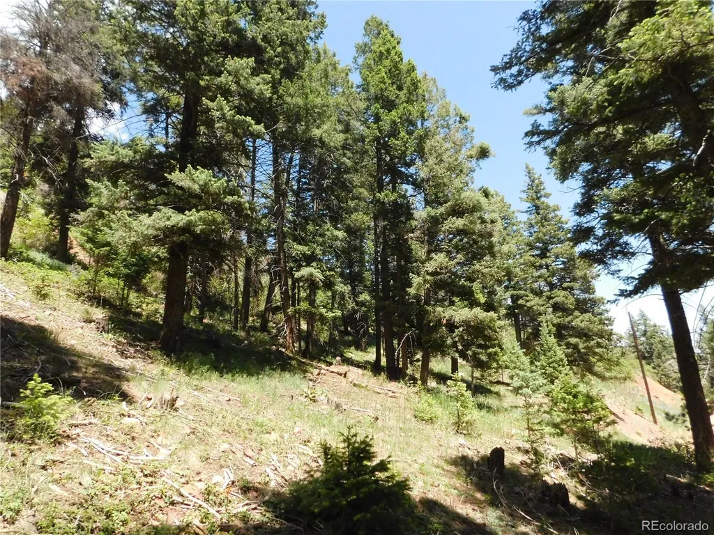 13524 Woodmoor West Drive Larkspur CO 80118