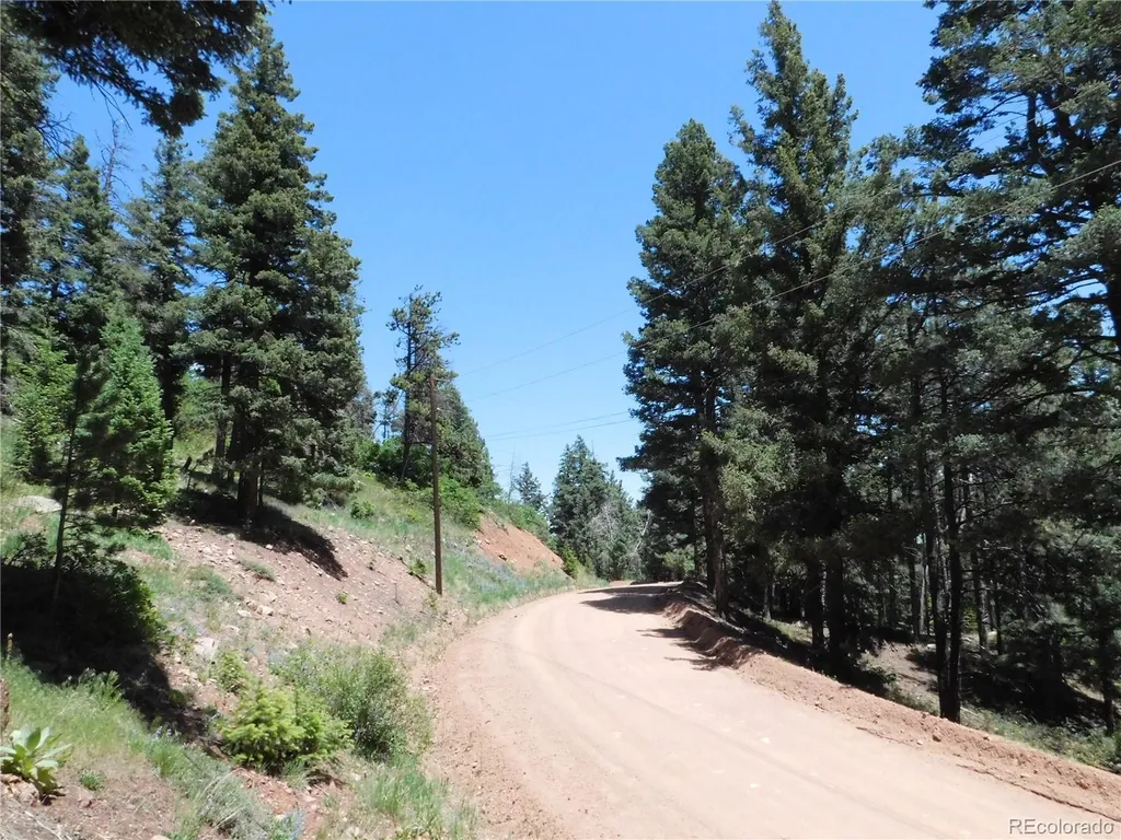 13524 Woodmoor West Drive Larkspur CO 80118