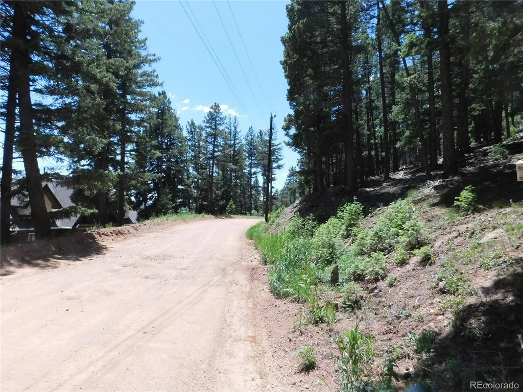 13524 Woodmoor West Drive Larkspur CO 80118