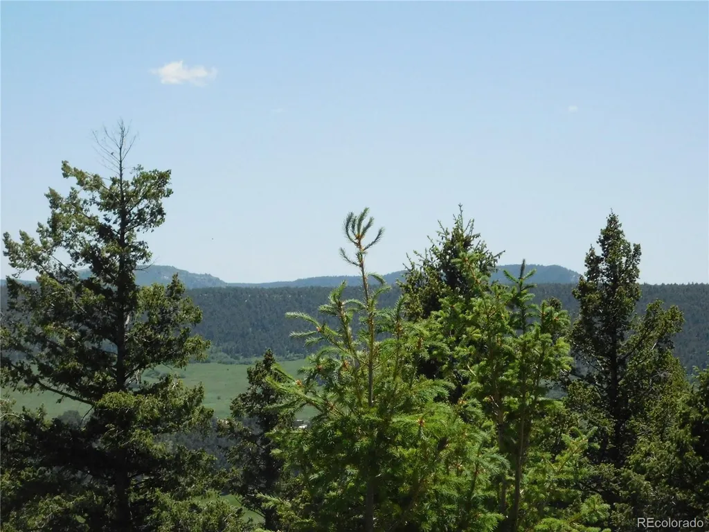 13524 Woodmoor West Drive Larkspur CO 80118