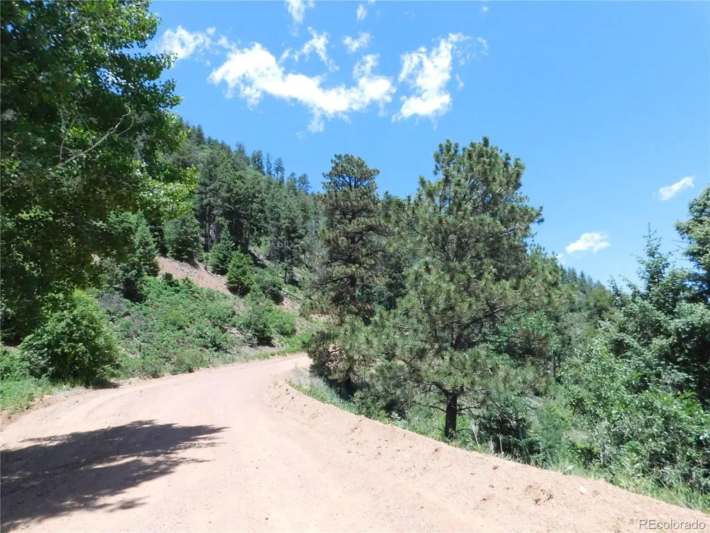 13524 Woodmoor West Drive Larkspur CO 80118