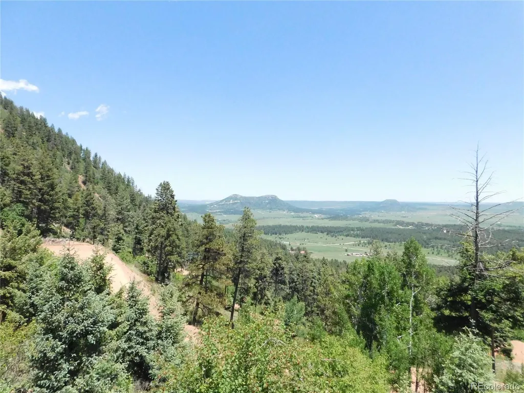13524 Woodmoor West Drive Larkspur CO 80118