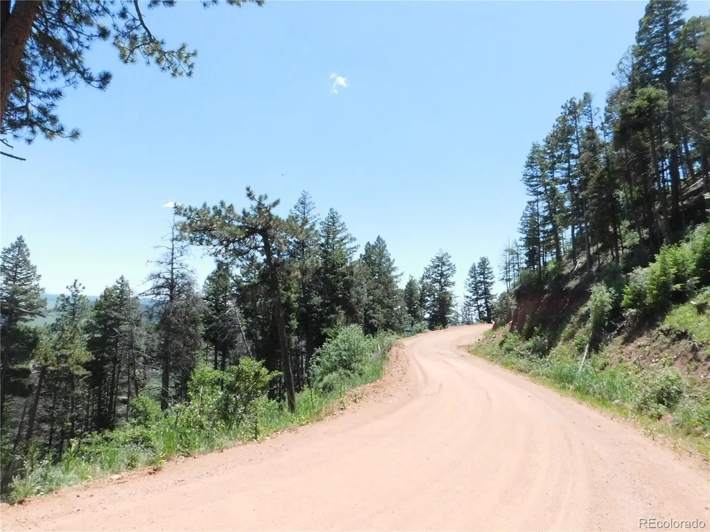 13524 Woodmoor West Drive Larkspur CO 80118