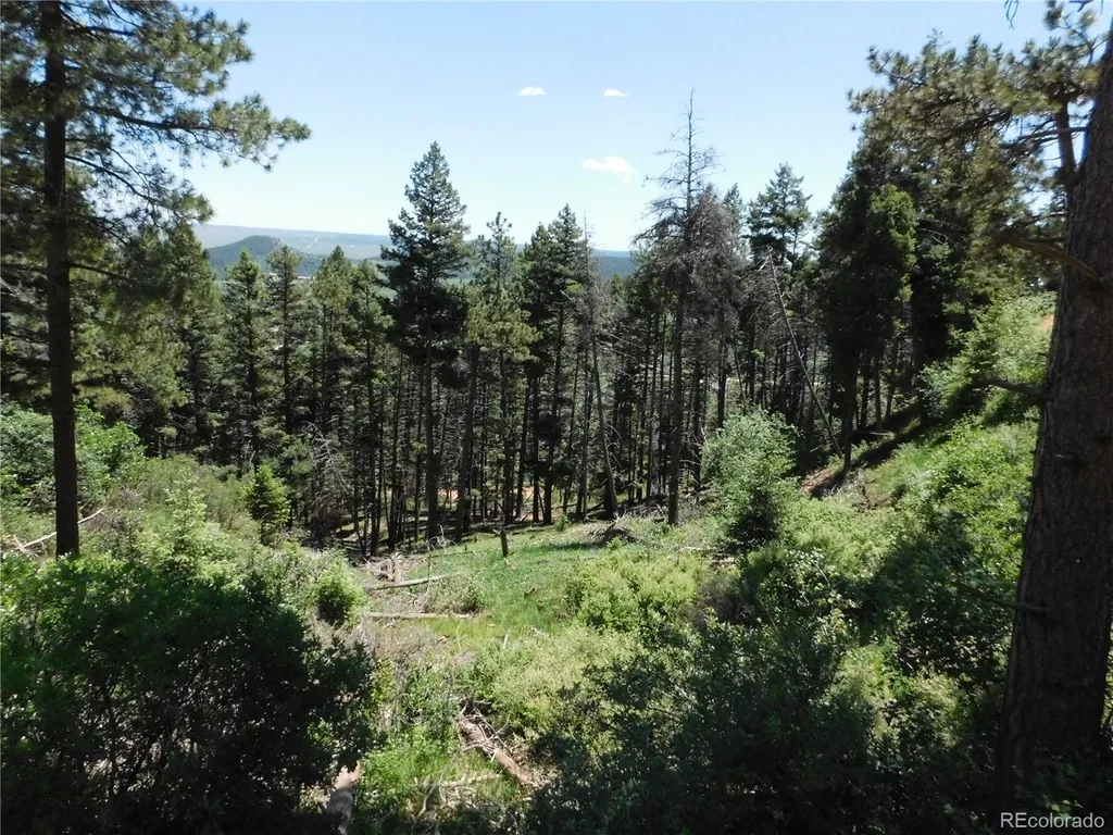 13524 Woodmoor West Drive Larkspur CO 80118
