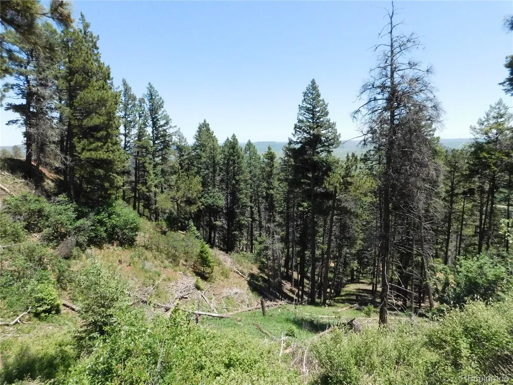 13524 Woodmoor West Drive Larkspur CO 80118