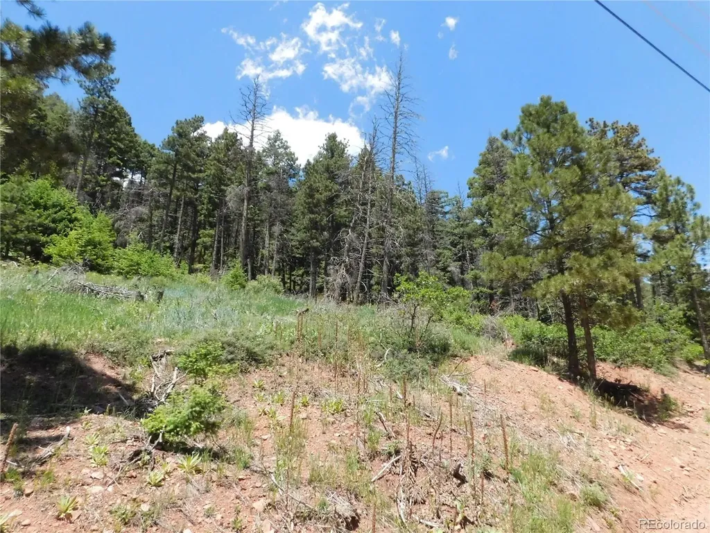 13524 Woodmoor West Drive Larkspur CO 80118