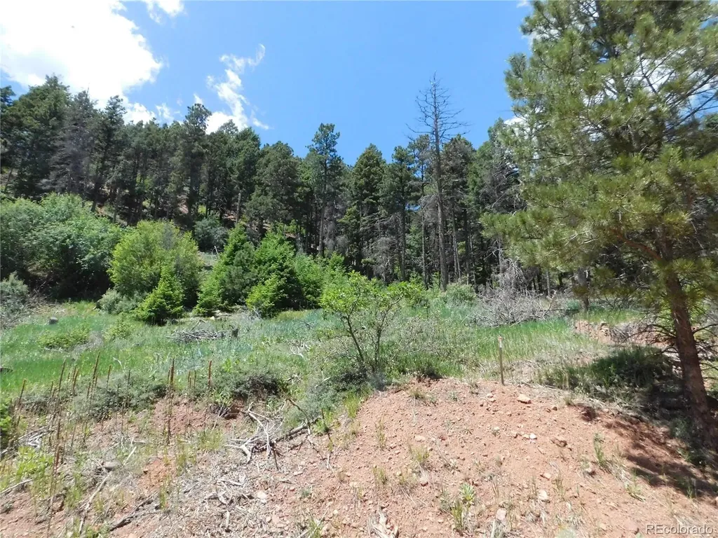 13524 Woodmoor West Drive Larkspur CO 80118