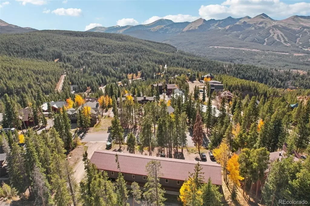 166 S Fuller Placer Road Breckenridge CO 80424