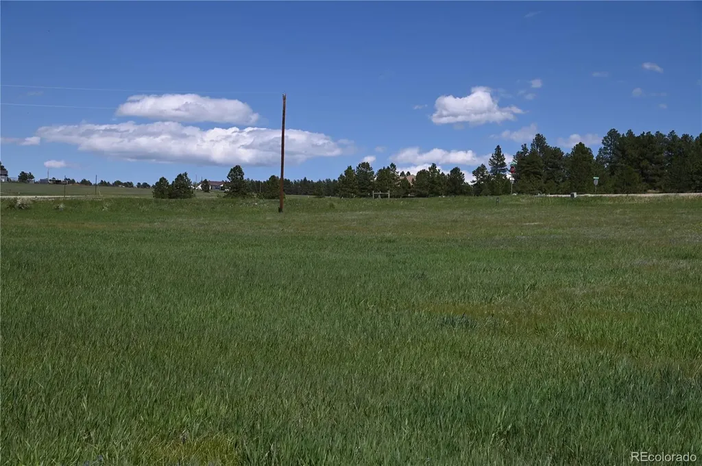 30523 Mountain View Trail Kiowa CO 80117