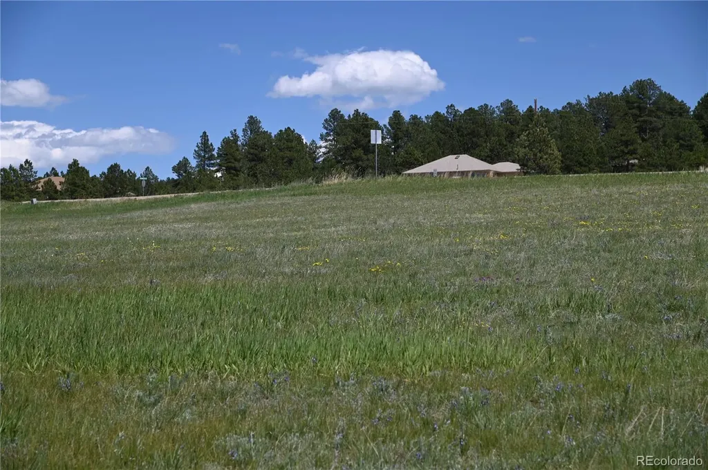30523 Mountain View Trail Kiowa CO 80117