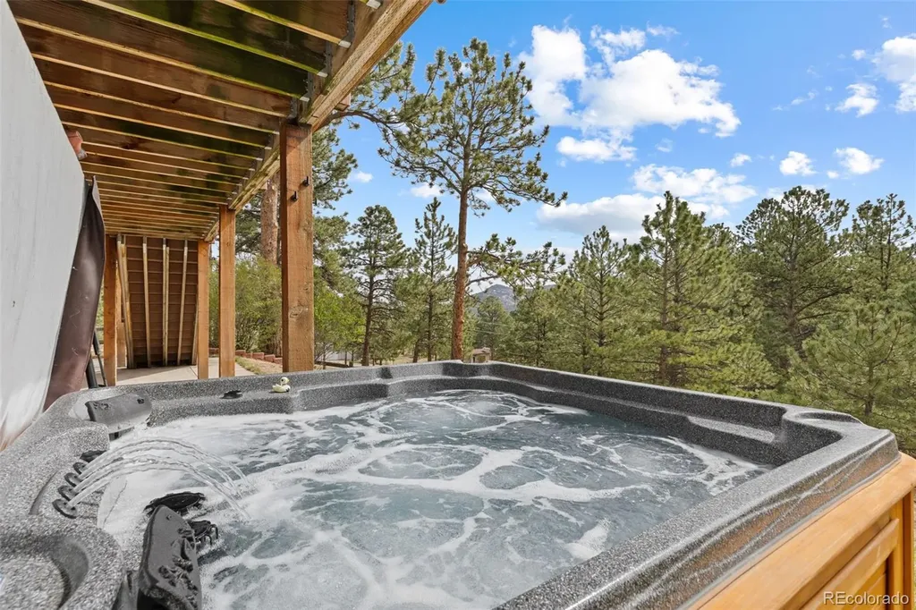30281 Peggy Lane Evergreen CO 80439