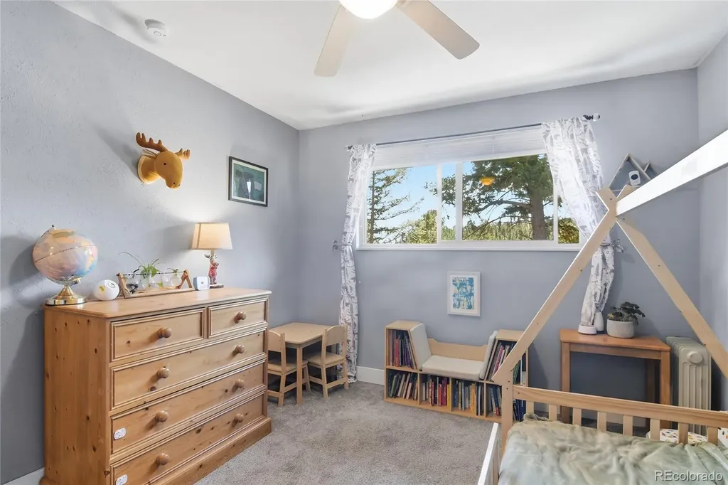 31280 Florence Road Conifer CO 80433
