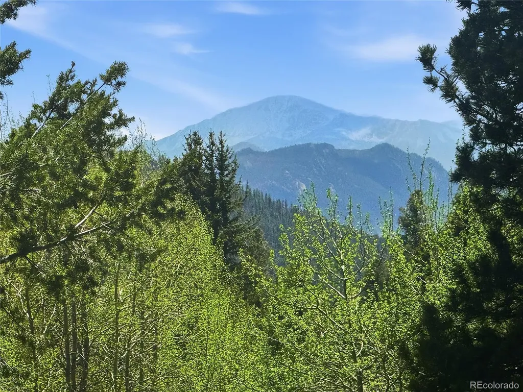 31280 Florence Road Conifer CO 80433
