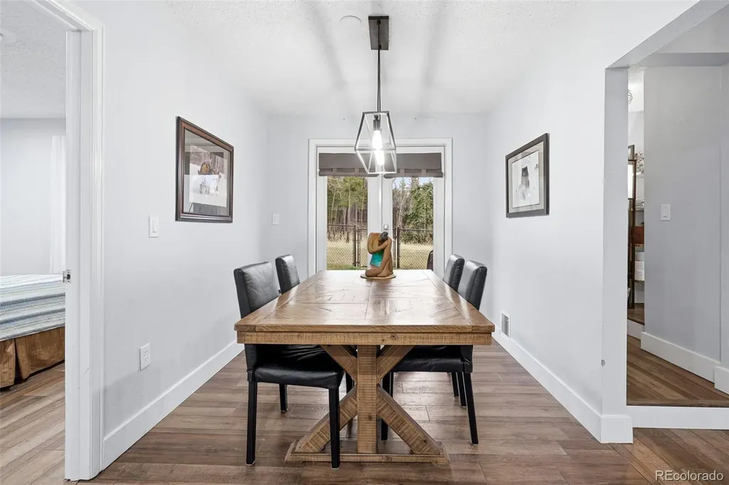 31551 Black Widow Drive Conifer CO 80433