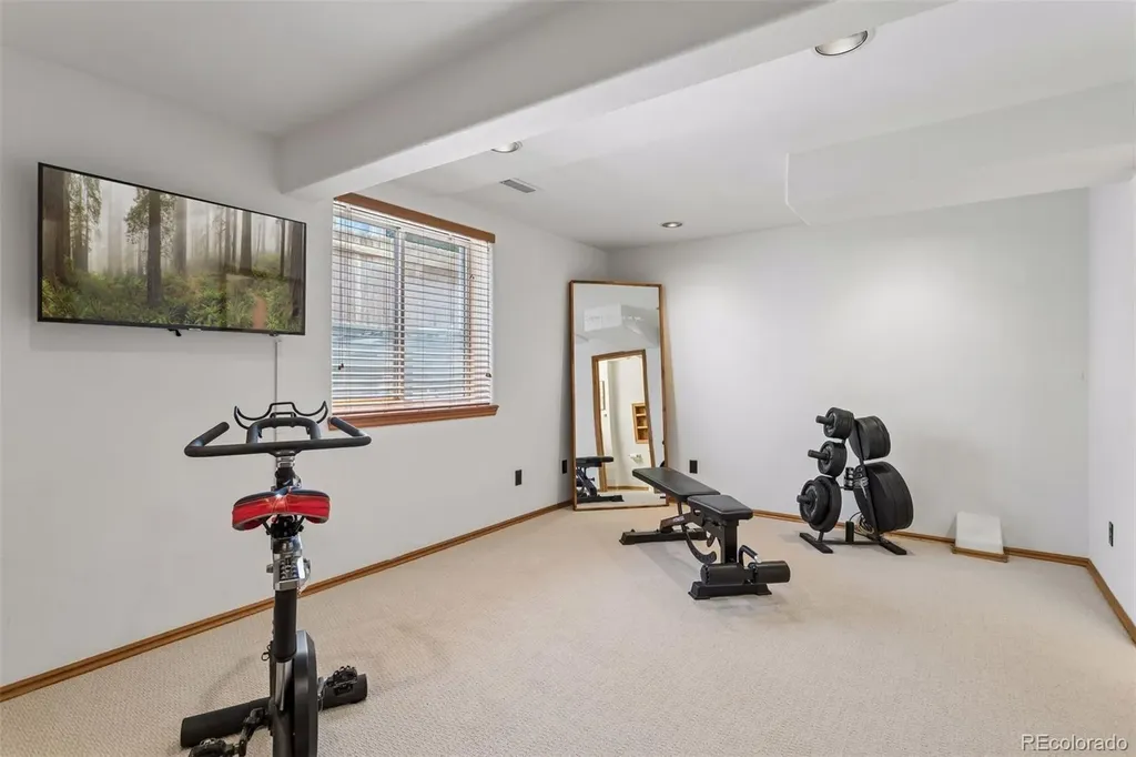 1355 S Alton Court Denver CO 80247