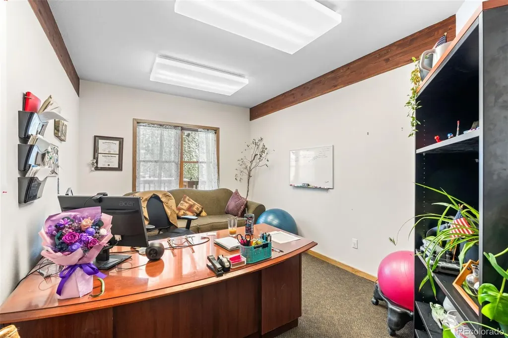 1111 Rose Street Georgetown CO 80444