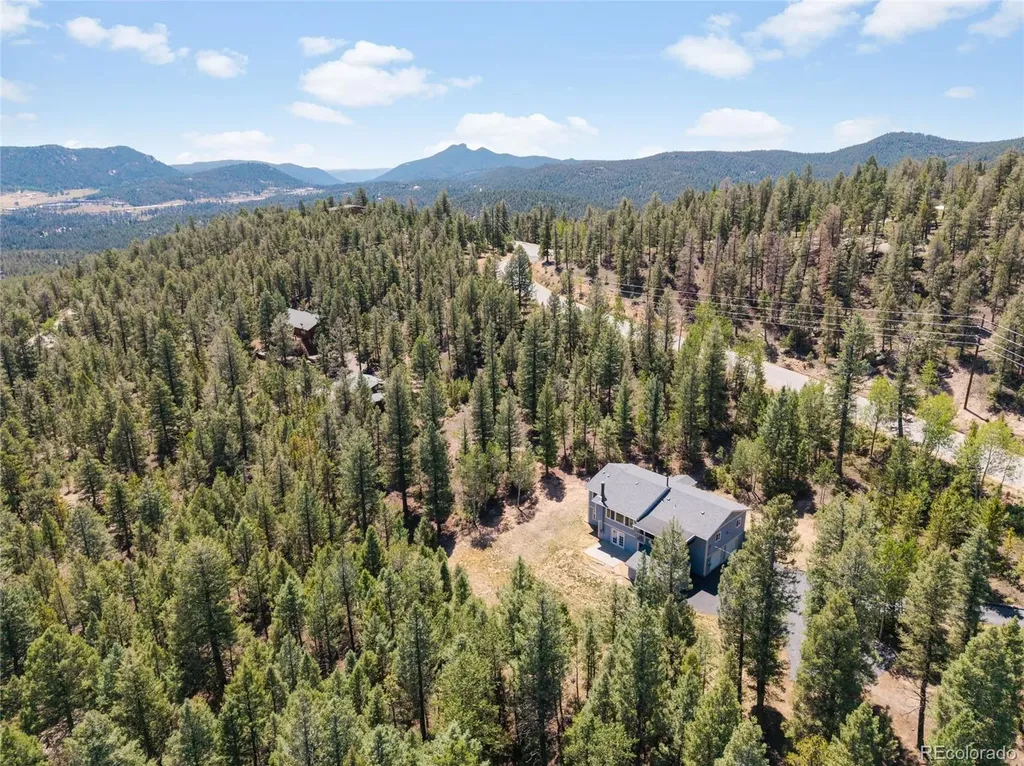 9790 S Warhawk Road Conifer CO 80433
